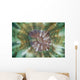 Detail Large Coral Polyp Wall Decal Design 2