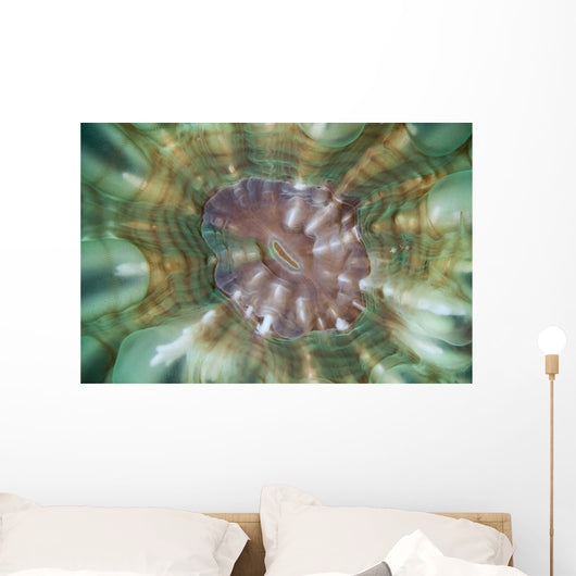 Detail Large Coral Polyp Wall Decal Design 2