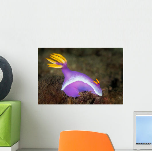 Purple Nudibranch Searching for Wall Decal