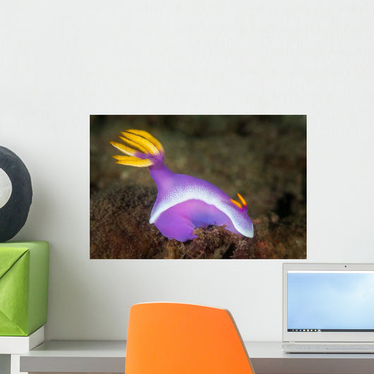 Purple Nudibranch Searching for Wall Decal