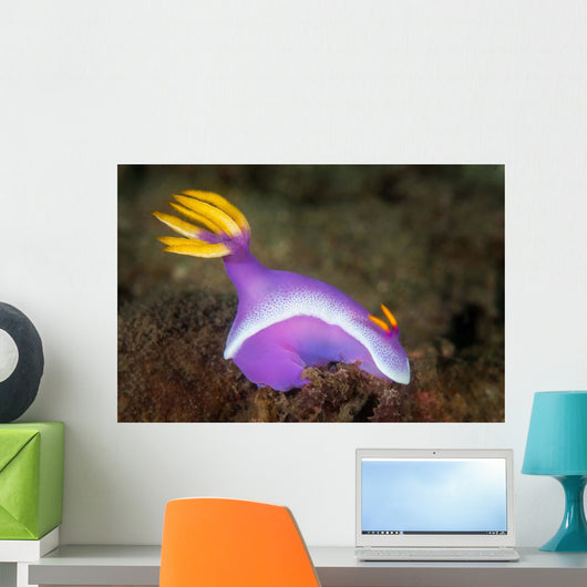 Purple Nudibranch Searching for Wall Decal