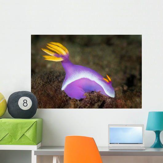 Purple Nudibranch Searching for Wall Decal