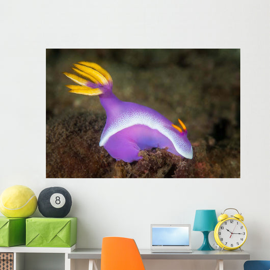 Purple Nudibranch Searching for Wall Decal