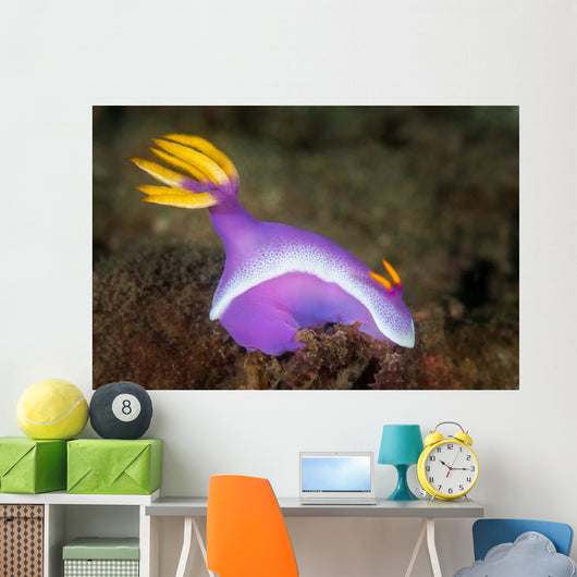Purple Nudibranch Searching for Wall Decal