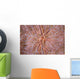 Detail Encrusting Sponge Growing Wall Decal Design 2