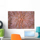 Detail Encrusting Sponge Growing Wall Decal Design 2