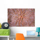 Detail Encrusting Sponge Growing Wall Decal Design 2