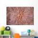 Detail Encrusting Sponge Growing Wall Decal Design 2