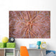 Detail Encrusting Sponge Growing Wall Decal Design 2