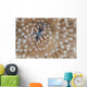 Detail Mushroom Coral Reef Wall Decal Design 2