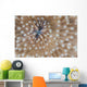 Detail Mushroom Coral Reef Wall Decal Design 2