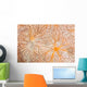 Detail Encrusting Sponge Growing Wall Decal Design 1