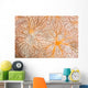 Detail Encrusting Sponge Growing Wall Decal Design 1