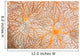 Detail Encrusting Sponge Growing Wall Decal Design 1
