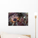 Detail Eye Scorpionfish Wall Decal Design 2