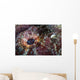 Detail Eye Scorpionfish Wall Decal Design 2