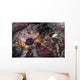 Detail Eye Scorpionfish Wall Decal Design 2