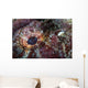 Detail Eye Scorpionfish Wall Decal Design 2