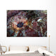 Detail Eye Scorpionfish Wall Decal Design 2