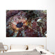 Detail Eye Scorpionfish Wall Decal Design 2