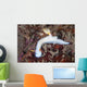 Beautiful Nudibranch Crawls across Wall Decal