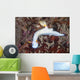 Beautiful Nudibranch Crawls across Wall Decal