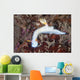 Beautiful Nudibranch Crawls across Wall Decal