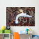 Beautiful Nudibranch Crawls across Wall Decal