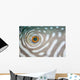 Detail Eye Reticulated Pufferfish Wall Decal
