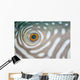 Detail Eye Reticulated Pufferfish Wall Decal