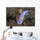 Hypselodoris Bullockii Nudibranch Crawls Wall Decal