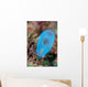 Beautiful Tunicate Grows Reef Wall Decal