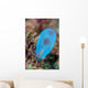 Beautiful Tunicate Grows Reef Wall Decal