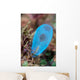 Beautiful Tunicate Grows Reef Wall Decal