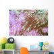 Detail Beautiful Mushroom Coral Wall Decal