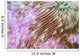 Detail Beautiful Mushroom Coral Wall Decal