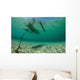 Wooden Outrigger Anchored near Wall Decal