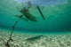 Wooden Outrigger Anchored near Wall Decal