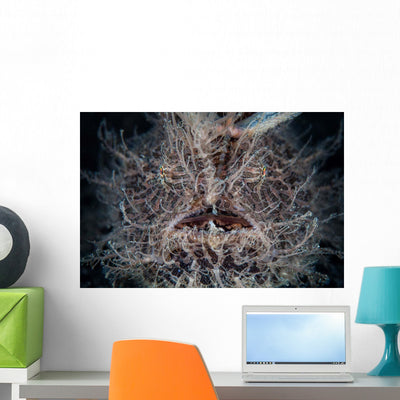 Front Hairy Frogfish Wall Decal shown on a wall