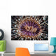 Beautiful Tube Anemone Lembeh Wall Decal