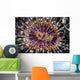 Beautiful Tube Anemone Lembeh Wall Decal