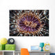Beautiful Tube Anemone Lembeh Wall Decal