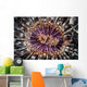 Beautiful Tube Anemone Lembeh Wall Decal