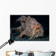 Hairy Frogfish Lembeh Strait Wall Decal Design 2