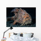 Hairy Frogfish Lembeh Strait Wall Decal Design 2