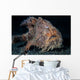 Hairy Frogfish Lembeh Strait Wall Decal Design 2