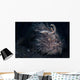 Hairy Frogfish Lembeh Strait Wall Decal Design 1