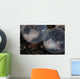 Flamboyant Cuttlefish Embryos Develop Wall Decal