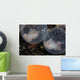Flamboyant Cuttlefish Embryos Develop Wall Decal