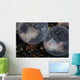 Flamboyant Cuttlefish Embryos Develop Wall Decal